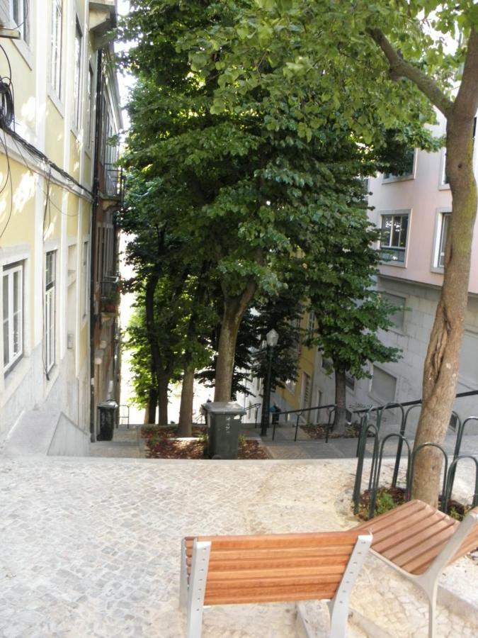 Sunny Orange Garden Apartment In Central Lisbon Luaran gambar