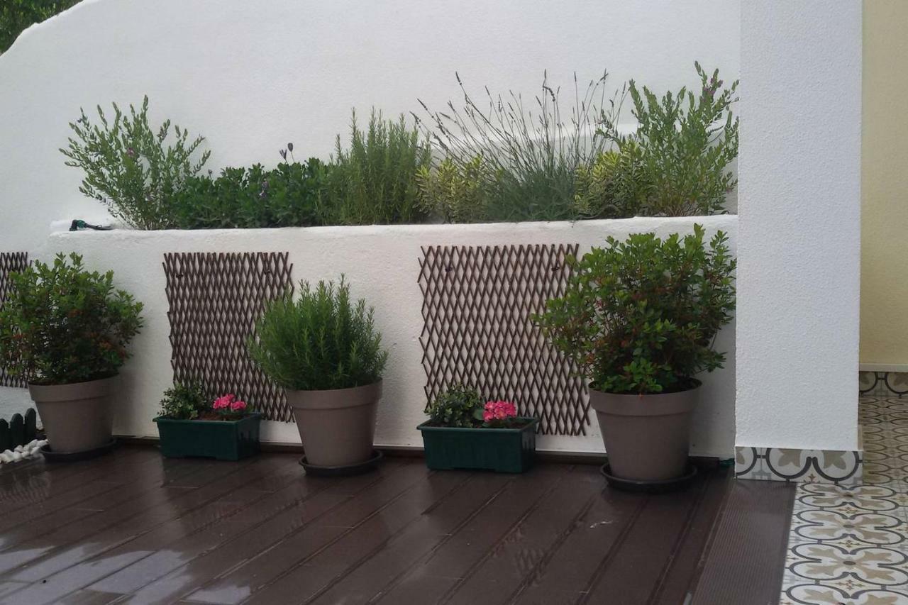 Sunny Orange Garden Apartment In Central Lisbon Luaran gambar