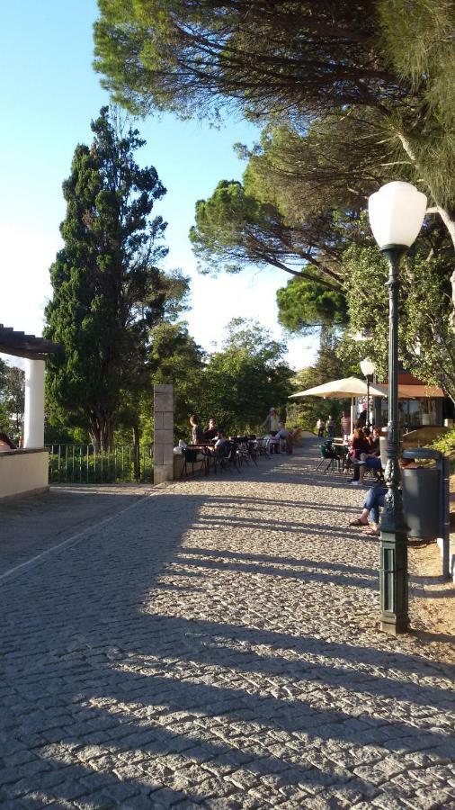 Sunny Orange Garden Apartment In Central Lisbon Luaran gambar